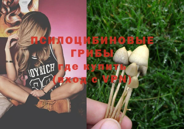 прущий лед Кукмор