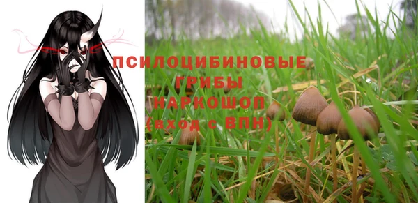прущий лед Кукмор